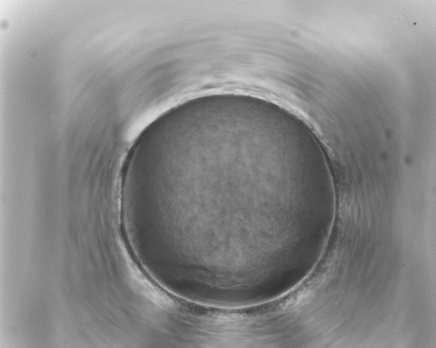 X0000088431522200705291512