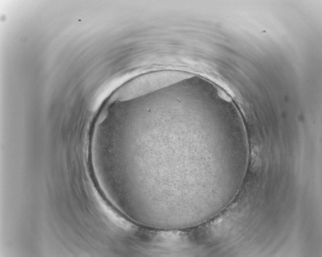 X0000088431523200705291512