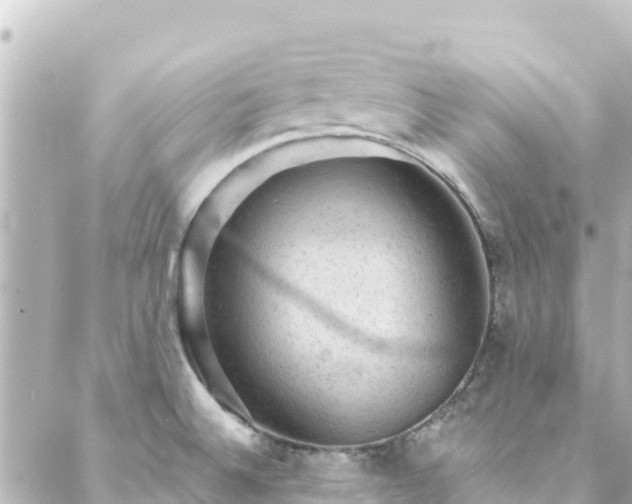 X0000088431524200705291512