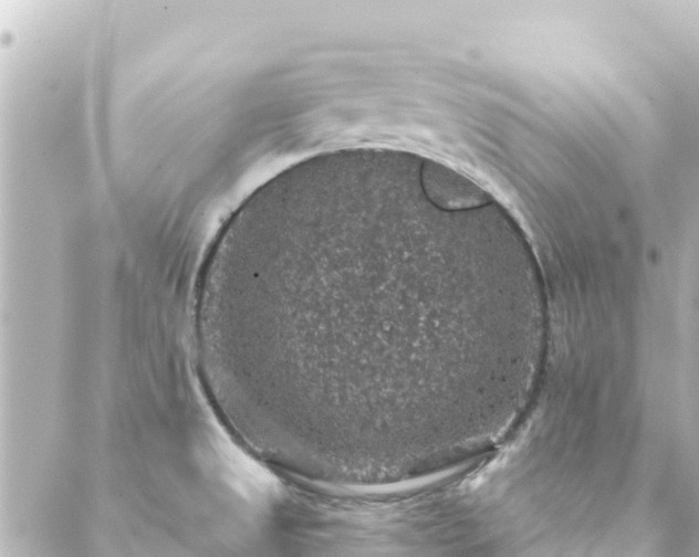 X0000088431525200705291512