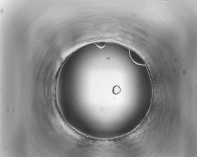 X0000088431526200705291512