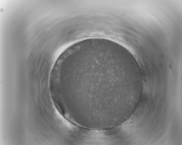 X0000088431527200705291512