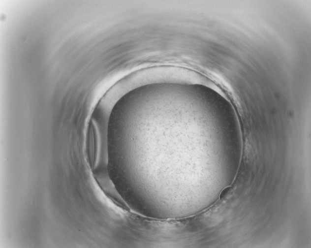 X0000088431528200705291512