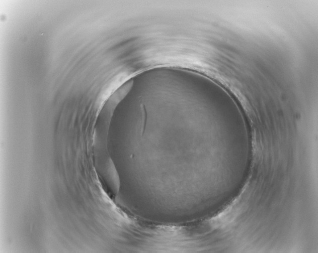 X0000088431529200705291512