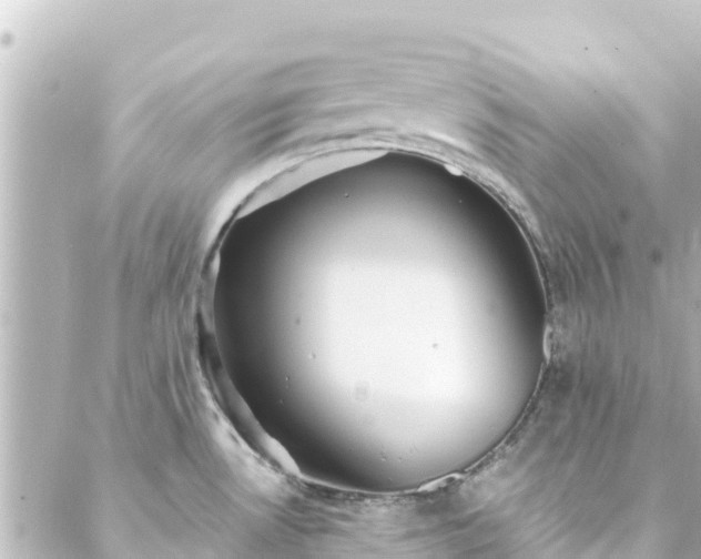 X0000088431530200705291512