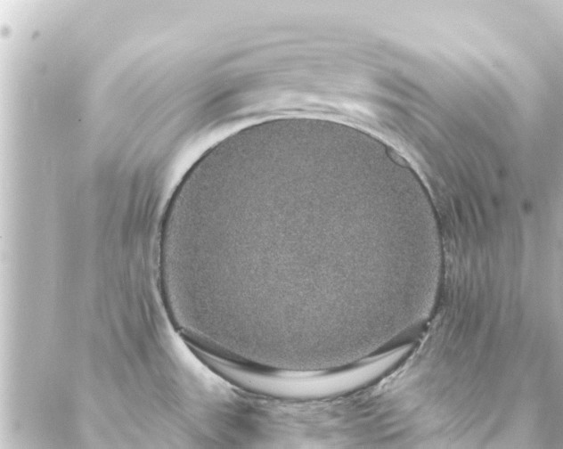 X0000088431531200705291512