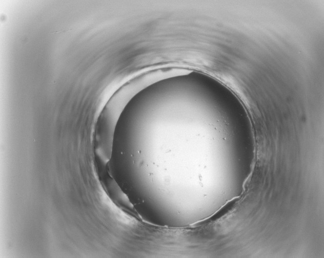 X0000088431532200705291512