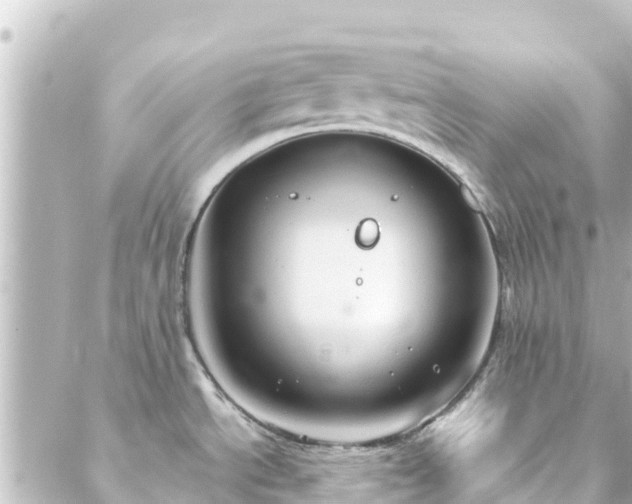 X0000088431534200705291512