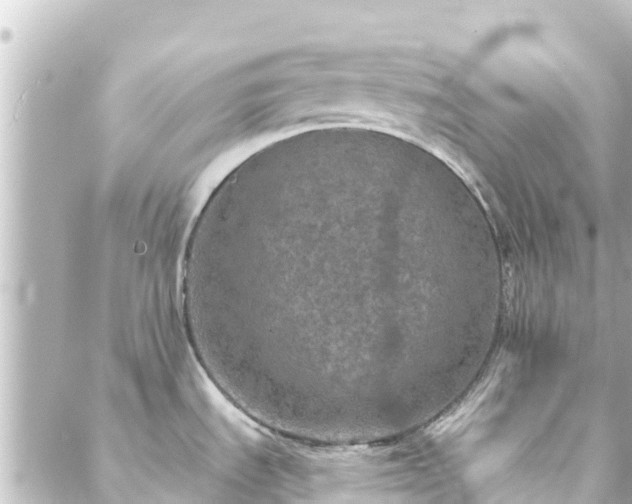 X0000088431535200705291512