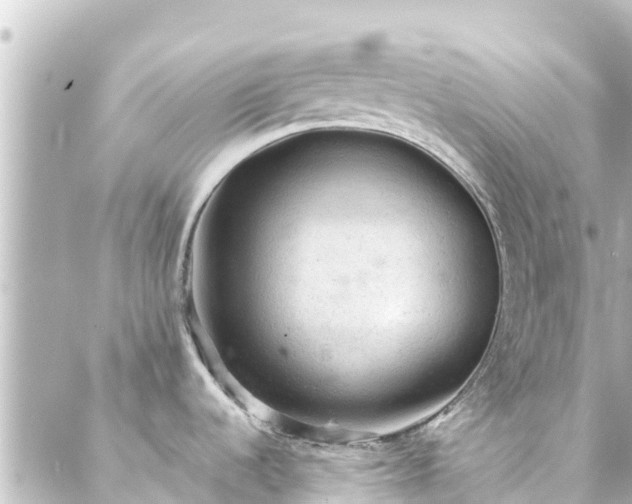 X0000088431536200705291512