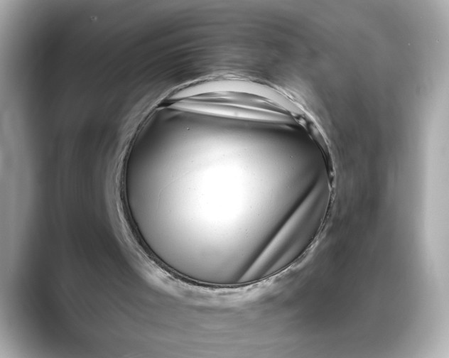 X0000088430001200706051238