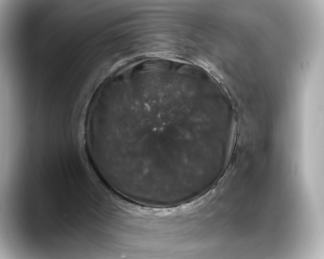 X0000088430002200706051238