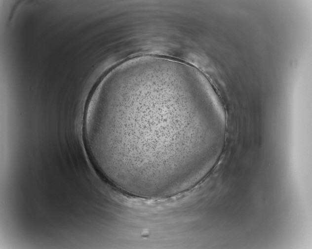 X0000088430003200706051238