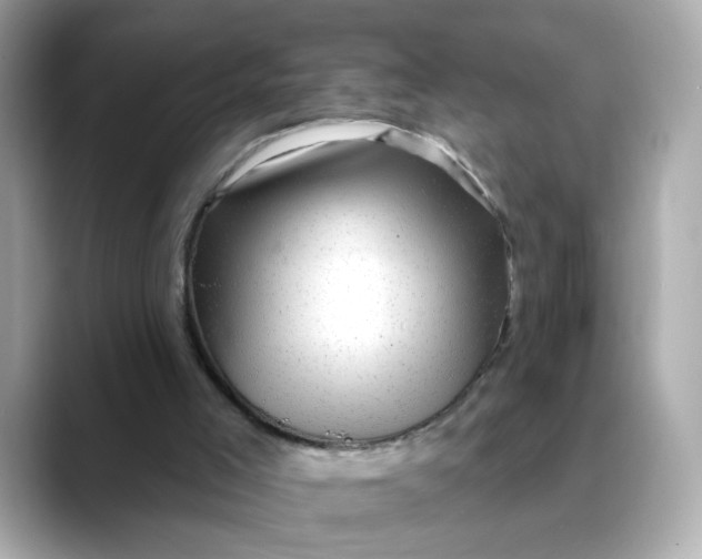 X0000088430005200706051238