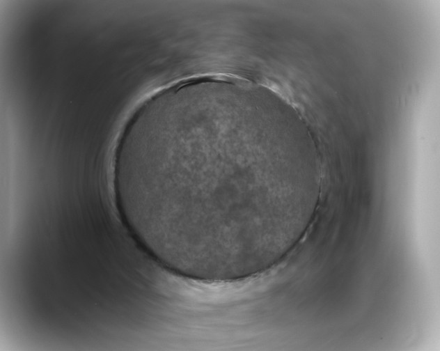 X0000088430006200706051238