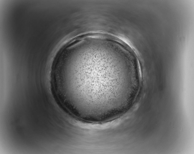 X0000088430007200706051238