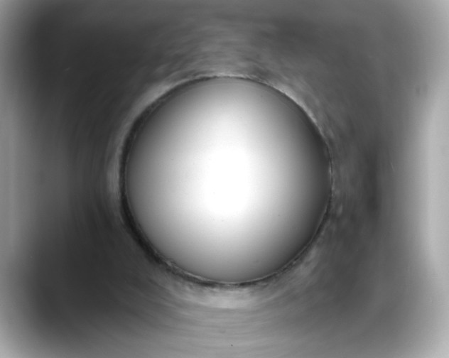 X0000088430008200706051238