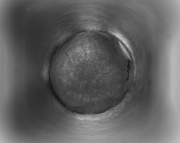 X0000088430009200706051238