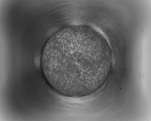 X0000088430010200706051238