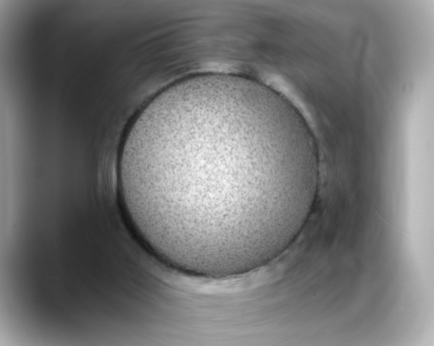 X0000088430011200706051238