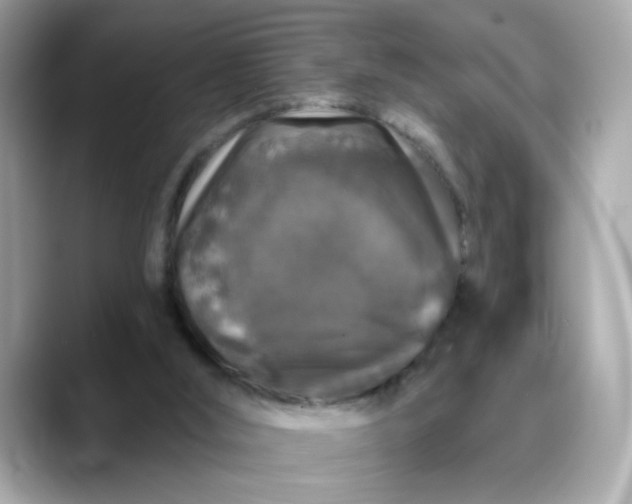 X0000088430012200706051238