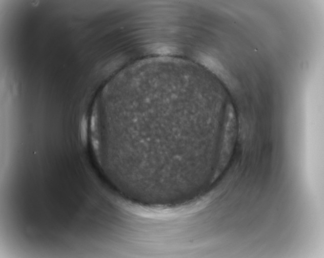 X0000088430014200706051238