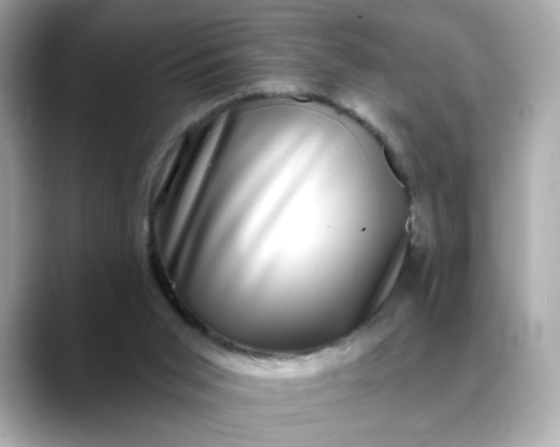 X0000088430015200706051238