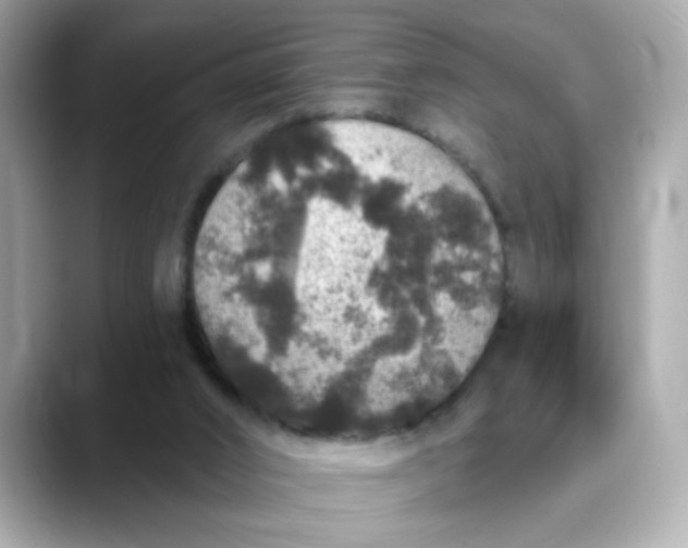 X0000088430016200706051238