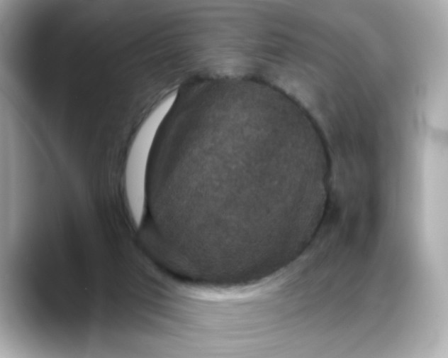 X0000088430017200706051238