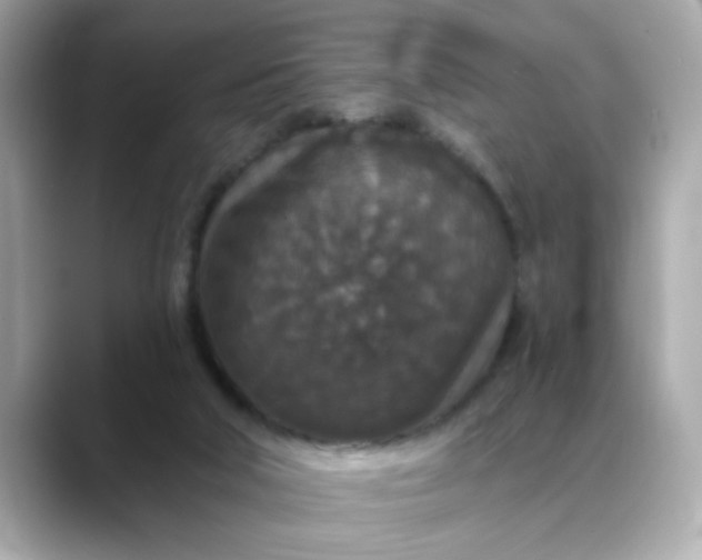 X0000088430018200706051238