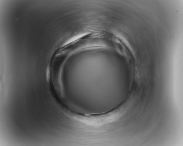 X0000088430019200706051238