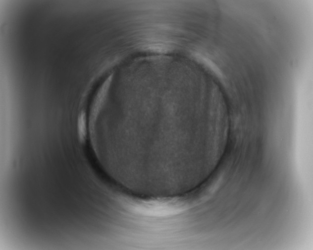 X0000088430020200706051238