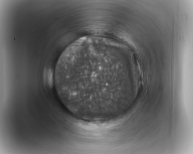 X0000088430022200706051238