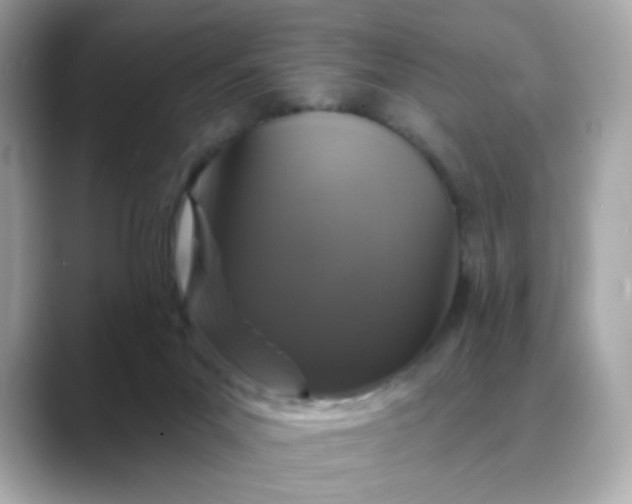 X0000088430023200706051238