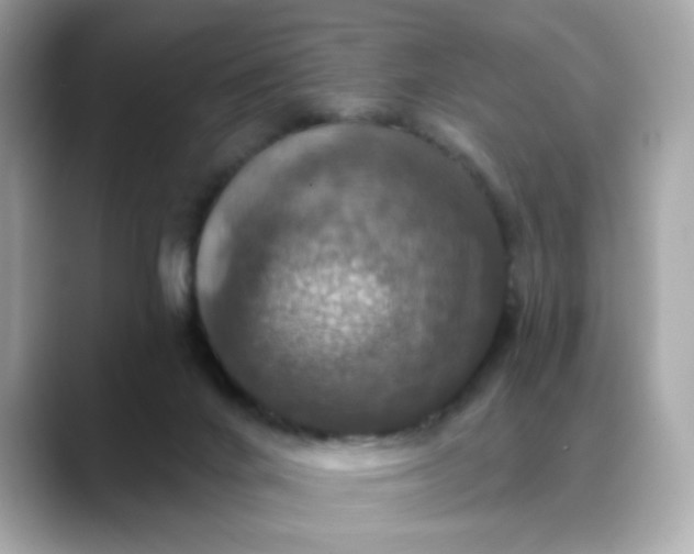 X0000088430024200706051238