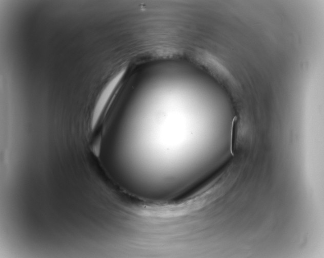 X0000088430025200706051238