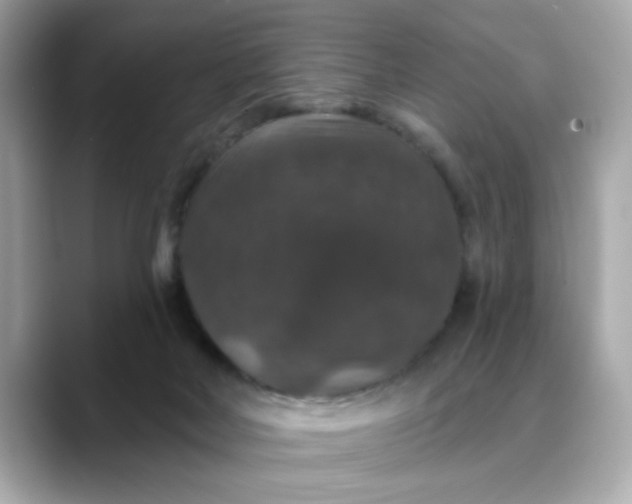 X0000088430026200706051238