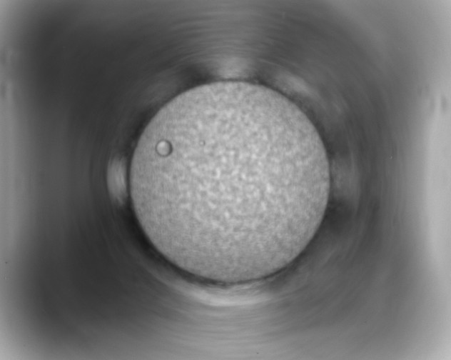 X0000088430028200706051238