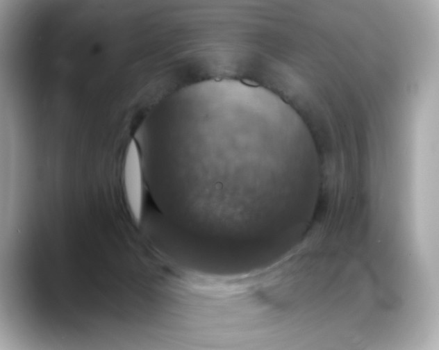 X0000088430029200706051238