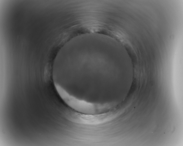 X0000088430030200706051238