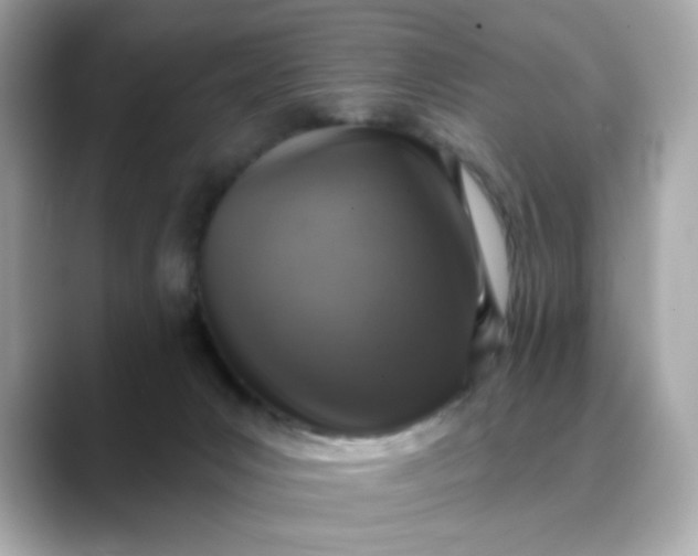 X0000088430031200706051238