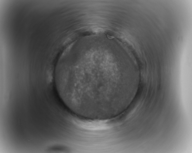 X0000088430032200706051238