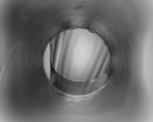 X0000088430033200706051238