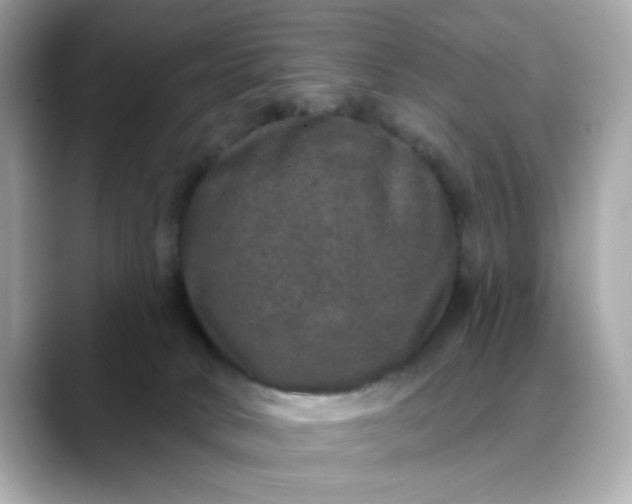 X0000088430034200706051238