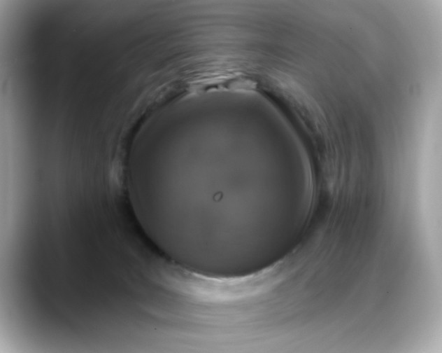 X0000088430035200706051238