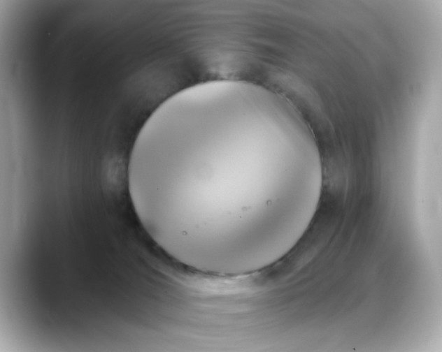 X0000088430036200706051238