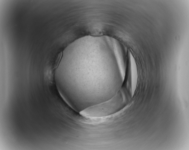 X0000088430037200706051238