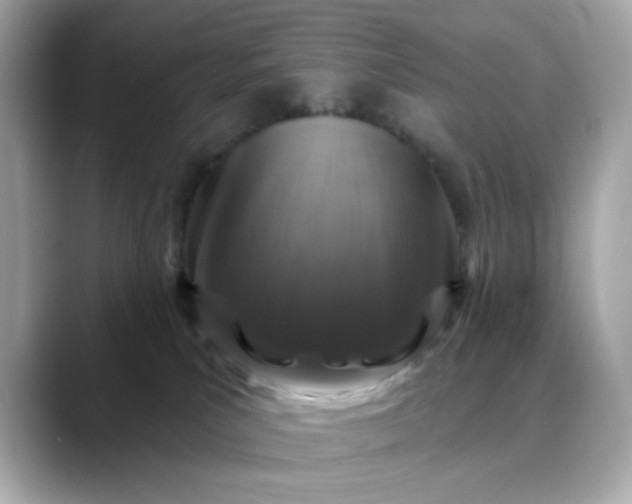 X0000088430039200706051238