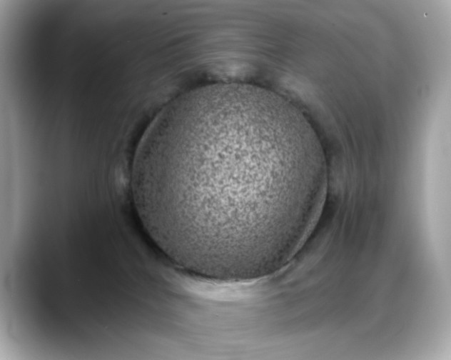 X0000088430040200706051238