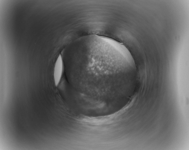 X0000088430041200706051238